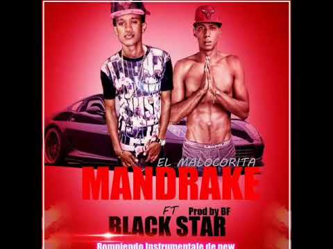 Mandrake El Malocorita X Black Star - Way Mi May