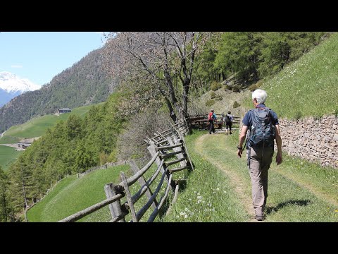 Auf dem Meraner Höhenweg von Giggelberg nach Unterstell
