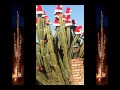 Cactus Christmas
