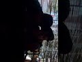 Bocil Ganas