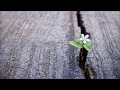 Ben E  King - Into The Mystic