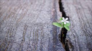 Ben E  King - Into The Mystic