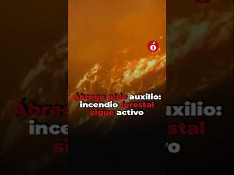Ábrego pide auxilio: incendio forestal continúa activo