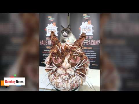 Meet the Artist Who Made a Grumpy Cat Bust Out of Bacon