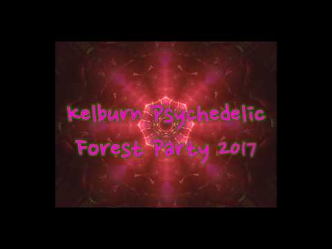 Kelburn Psychedelic Forest Carnival 2017