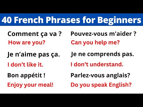 Learn 40 Basic French Phrases for Beginners