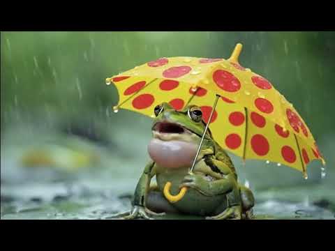 Pool Play video ad
