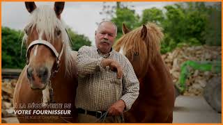 Miniature de la vidéo