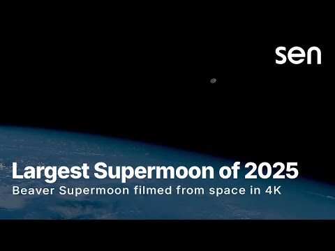 The Largest Supermoon of 2025 Rises Over Earth | Beaver Supermoon from Space in 4K