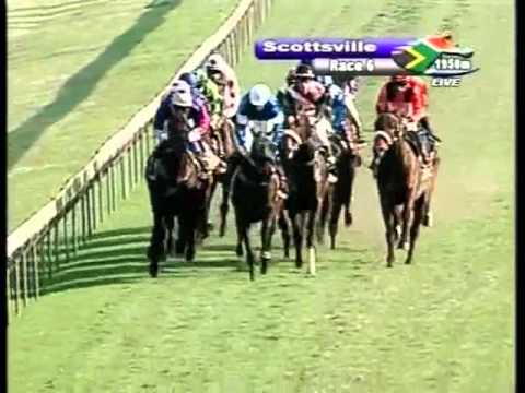 Course de reference - One Cool Dude - 1950m