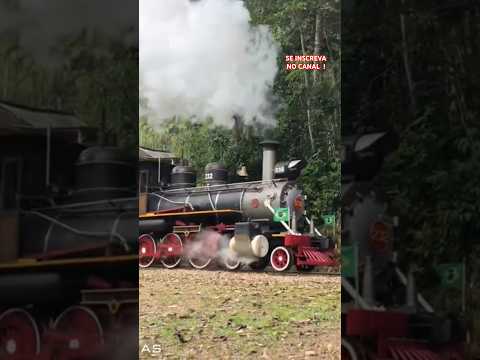 #shortsvideo #train #rffsa #railway #ferrovia #rayway #rayroad #trem #apiuna #santacatarina #steam