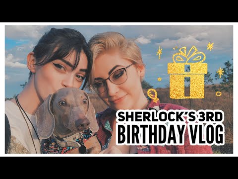 Sherlock’s 3rd Birthday Vlog || 02/22/21