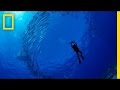 Enric Sala Journey To The Pitcairn Islands Nat Geo Live