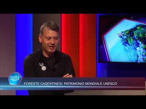 FORESTE CASENTINESI: PATRIMONIO MONDIALE UNESCO