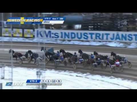 Amaru Boko Gulddivision in Gävle