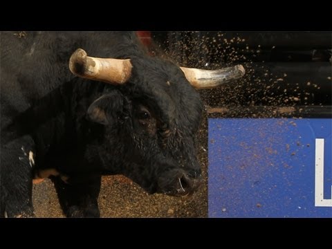 Jared Farley 87 points on Anonymous (PBR)