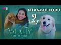 Niramulloru Video Song Valatty Tale Of Tails Devan Vijay Babu Vijay Yesudas Varun Sunil