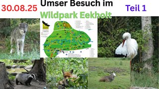 Unser Besuch im Wildpark Eekholt am 30.08.25 - Die Große Runde  - Teil