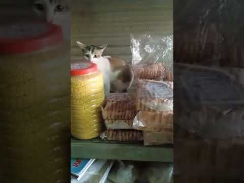 🙄🙄🙄🙄🙄🙄