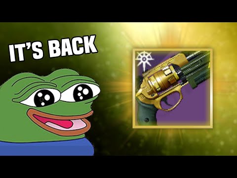 PALINDROME IS HERE!!! Here's the God Rolls you should get NOW! 【 Destiny 2 】