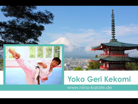 Einfache Basics für Yoko Geri Kekomi!