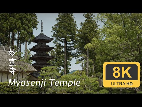 Myosenji Temple - Sado - Niigata - 妙宣寺