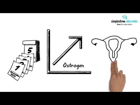 Menstruation einfach erklärt Teil 2 (Weiblicher Zyklus)