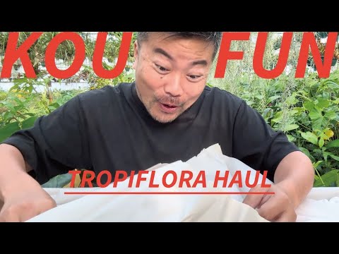 ブラウンクレーンズビル 植物