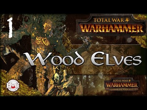 Total War Warhammer - Realm of the Wood Elves - Durthu Campaign 1