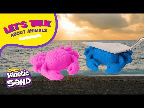 Let’s Talk About Animals: Life Under the Sea 🐙 | Kinetic Sand | Crafts for Kids