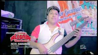 NOS AMAMOS - GRUPO ORIGINAL ALEGRÍA - CONCIERTO 2017