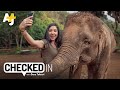 Why There Are No Elephant Sanctuaries In Thailand