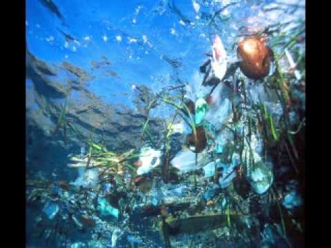 Giornata Maggica - Zion beach 2011  official video