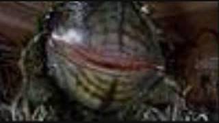 Crystal, Ronette, and Chiffon... is Breaking