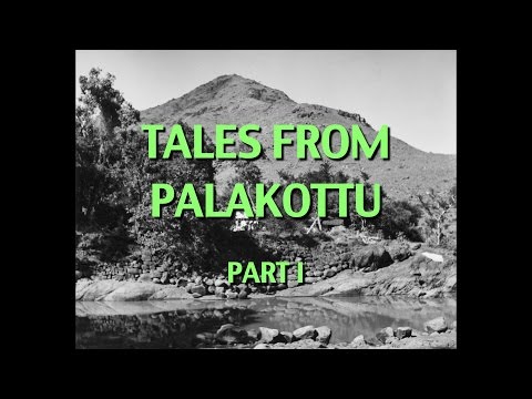 Talks on Sri Ramana Maharshi: Narrated by David Godman - Tales From Palakottu (Part I)