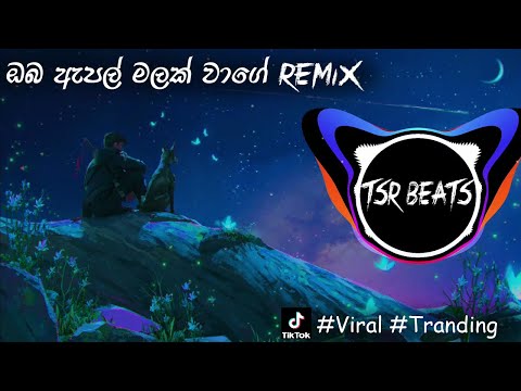 Oba Apple Malak Wage(Tsr Beats Remix) ඔබ ඇපල් මලක් වාගේ