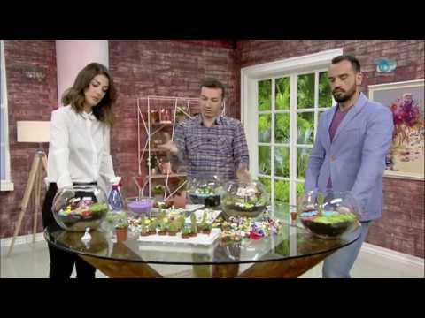 Ne Shtepine Tone, 9 Janar 2018, Pjesa 4 - Terrariumet