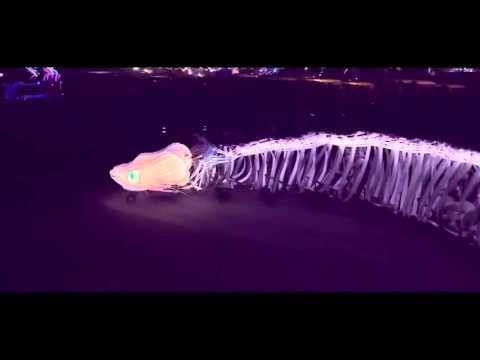 Danika DJ vs  Wave Rider   Shut Up 2015