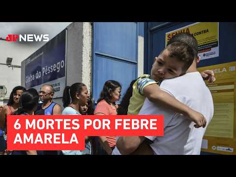Homem morre por febre amarela em Lençóis Paulista em São Paulo | TEMPO REAL