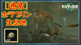 【ゼルダの伝説ティアキン】通常のホラブリンが出現する洞窟を