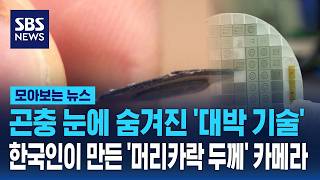 곤충 눈에 숨겨진 비밀..카이스트가 만든 '머리카락 두께' 카메라 / SBS / 모아보는 뉴스