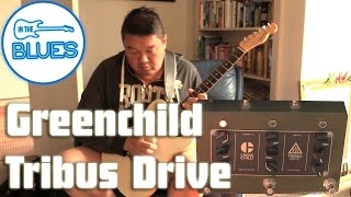 Video thumbnail for Greenchild Tribus Drive with Dr Ric by intheblues