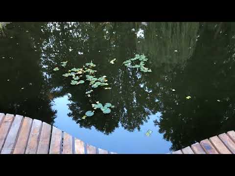 COMPLEX TURISTIC VATA BAI