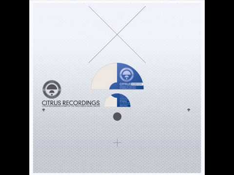 Blue Motion - Zebras Crossing Road