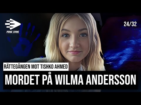 Mordet på Wilma Andersson - Daniel, Vittne, Inspelning 1