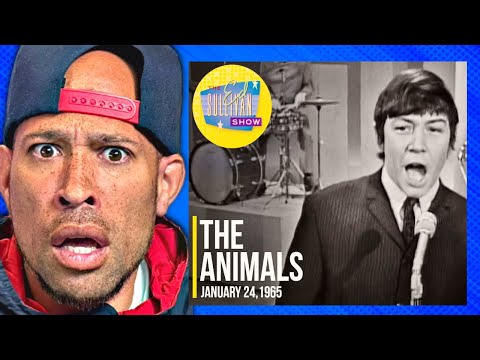 The Animals "Don't Let Me Be Misunderstood" REACTION!!! Holy Smokes!