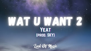 Cover art for yeat