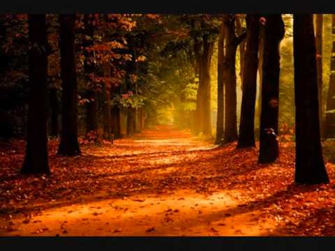 Sweet Nothins (YellayPu) Fiya Blaze (ao) Free Fiya