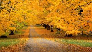 Download lagu A Whiter Shade Of Pale Anthony Ventura and his Orchestra mp3 Download lagu A Whiter Shade Of Pale Anthony Ventura and his Orchestra mp3