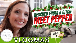 VLOGMAS 2023: DAY 4 - THEY LEFT HER ON THE SIDE OF THE ROAD LIKE TRASH! MEET PEPPER | VLOG
